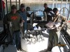 (11/06/2015) - Nice Striped Bass